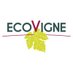 Ecovigne (@ecovigne_) Twitter profile photo Ecovigne (@ecovigne_) Twitter profile photo