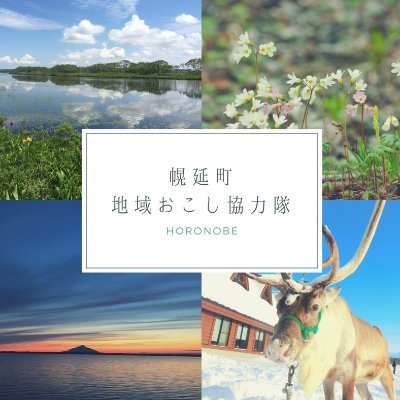 トナカイとブルーポピーの里 幌延町で活動する幌延町地域おこし協力隊です!町の魅力、協力隊の活動、イベント情報などを更新していきます!🦌 各アカウントは以下のリンクから↓