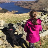 Jane Shepherd (@j_shepherd18) 's Twitter Profile