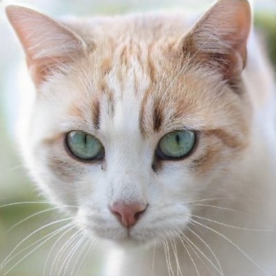 SandraB37936416's profile picture. 