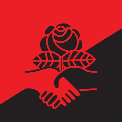 We are Ⓐ group of @DemSocialists members who believe that decentralization, ecology & radical democracy are at the core of socialist organizing•ALL BLM✊🏽✊🏾✊🏿