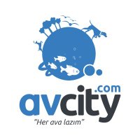 avcity.com(@AvcityC) 's Twitter Profile Photo