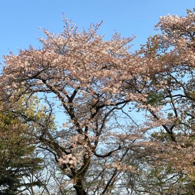 関西のクリニック勤務。眼科の勉強大好き💕思春期の娘ふたり👧+老犬🐕。ORT歴10年以上だけど、まだまだ修行🤫 眼科/CO/視能訓練士/斜視弱視/眼鏡