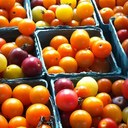 ryan kochen - @ryanjacksonk - Twitter