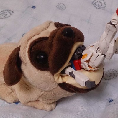 takashimamorino's profile picture. 