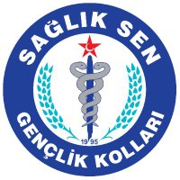 Sağlık Sen Gençlik Kolları(@Ss_genclik) 's Twitter Profile Photo