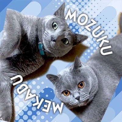 MozukuRescue's profile picture. 