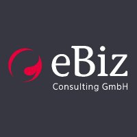 eBiz Consulting(@ebizcon) 's Twitter Profile Photo
