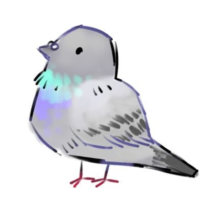 鴿さんのプロフィール画像