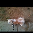 Thomas Gorrell - @ThomasGorrell1 - Twitter