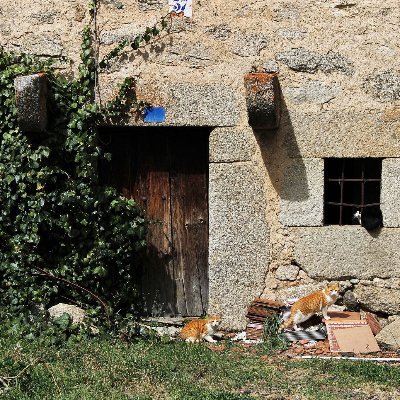 Ávila es una provincia asombrosa con numerosos lugares que permanecen ocultos. Aquí conocerás algunos, y también en: https://t.co/MO7eIsXQjH