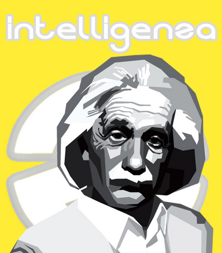 Intelligenza's purpose is to excel as we turn your business into the best social driven enterprise inside its industry.
