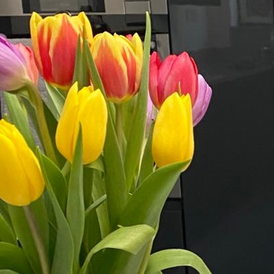 sleenpsych's profile picture. 