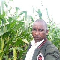 PETER MAINA (@peterm36378) 's Twitter Profile