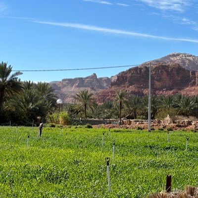 انا الافراح.. والارباح.. والفايض ..وراس المال..