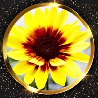 kazu 🌻 (@kazu09812307) 's Twitter Profile Photo kazu 🌻 (@kazu09812307) 's Twitter Profile Photo