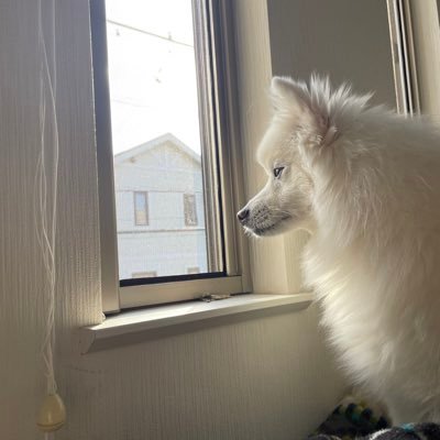 imnay1004's profile picture. 04