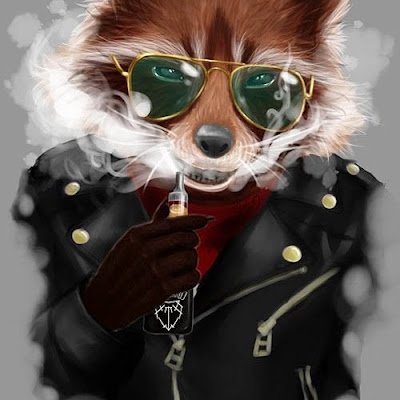 IMordukov's profile picture. Иван Мордюков охотник на мышей
