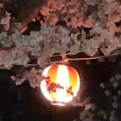 a_ihkg's profile picture. 先払いには対応してないです。 倉敷市在住 ♂この垢初めて2年になります。 会える方DM来てください。 #複数 #援助 #円 #プチ #割り切り #パパ活 #岡山 #倉敷市 #暇な人 18歳以上の方のみ〔現役高校生は基本的NG〕