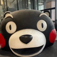 菊陽カーバンクルスよしだ (@dayoshi8901) 's Twitter Profile