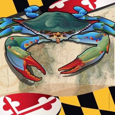 antcerllc's profile picture. 