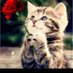วัต (@apiwat_1911) Twitter profile photo วัต (@apiwat_1911) Twitter profile photo