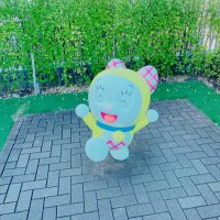 わたあめ@TOEIC勉強中 (@v7xwt) 's Twitter Profile