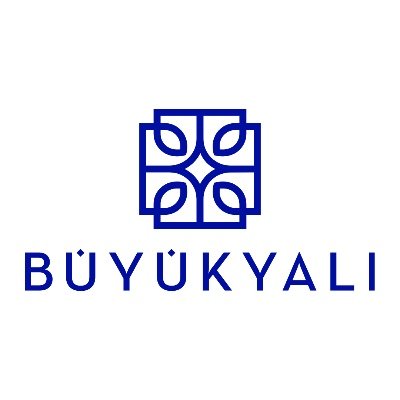 buyukyali Profile Picture