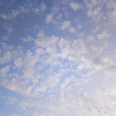 Apriliyani90848's profile picture. 