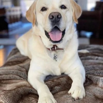 Monica467696814's profile picture. 