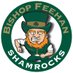 Bishop Feehan Athletics (@FeehanAthletics) Twitter profile photo