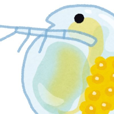 だふにあ🌼さんのプロフィール画像