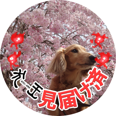 【成人済】特に誰に頼まれたわけではないですが地元兵庫県と神戸市の観光とお店を応援したいアカウントです。
平家、映画「犬王」 お酒🍶🍺🍷