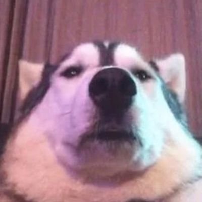 just some random washed up 22 y/o nn trying to get good at wow