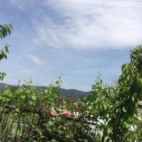 Nuriye Mehmet Çapkur (@nuriyecapkur) 's Twitter Profile Photo