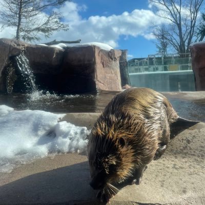 mikant2_z's profile picture. 