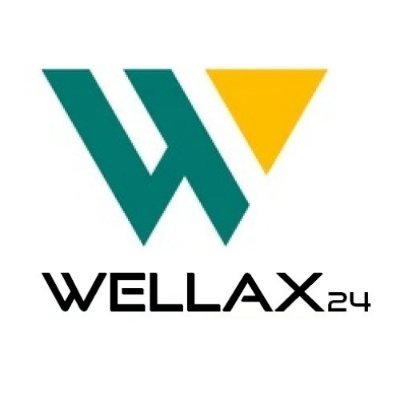 wellax24 Profile Picture