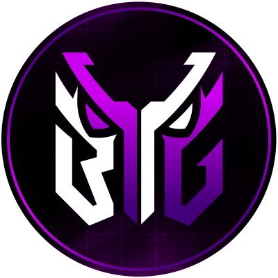 🇨🇭 Swiss Esport Org. since 2018 | We thrive for the best possible competitive experience! #BYGmentality 🧠💜 📧 info.binarygaming@gmail.com