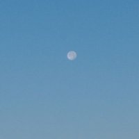 カラカラ (@noumisoempty) Twitter profile photo