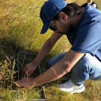 mani मनि (The Plant Person) (@theflwrsearcher) 's Twitter Profile