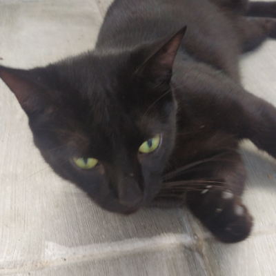 Jessica_Leal19's profile picture. 