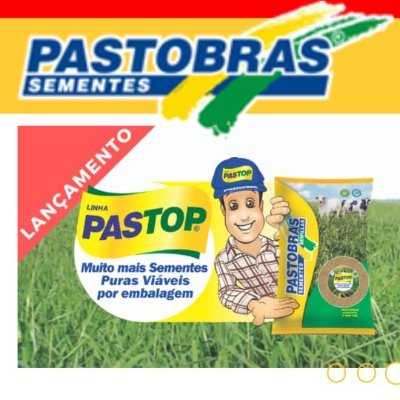 MaizPastosem's profile picture. Somos Representantes Legales para Venezuela de Pasto Bras Brasil, Maiz, Sorgo y arroz Bandeirantes Varieda e Hibridos