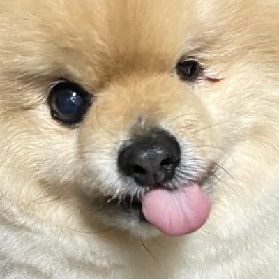 【sub】さんのプロフィール画像