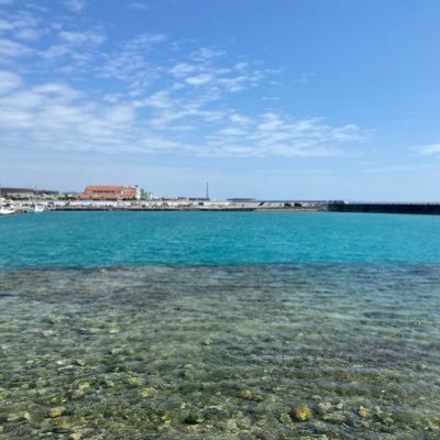 Ay64347678's profile picture. エロ垢にしかフォローされなくなった男