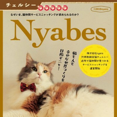 株式会社nyans 代表取締役猫チェルシー/猫社会のために頑張るにゃ！／ニャンズカードとかまたたびマフィアとかnyansの爪研ぎとか作ってるにゃん/猫ファースト・安心安全を徹底して人間部下に作らせてるにゃ。