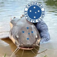Bagres da Toca 🎣 (@osbagresdatoca) 's Twitter Profile