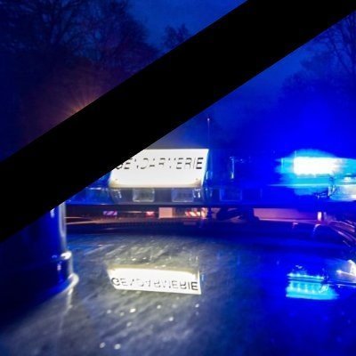 Gyro_et_2TonsII's profile picture. Compte de secours de @Gyro_et_2Tons, t'as compris...