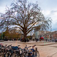 The Friends Of Windrush Square (@fows_windrush) 's Twitter Profile