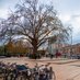 The Friends Of Windrush Square (@FOWS_Windrush) Twitter profile photo