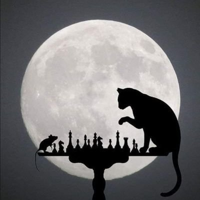 hasanabdalkazim's profile picture. ‏عراقي و افخر بانتمائي إلى ارض العراق  بلاد الدم المهراق و الماء الرقراق